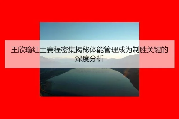 wang-xin-yu-hong-tu-sai-cheng-mi-ji-jie-mi-ti-neng-guan-li-cheng-wei-zhi-sheng-guan-jian-de-shen-du-fen-xi-2-682.jpg